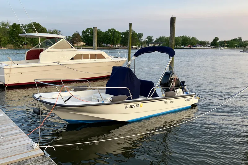 The Image of 2015 Boston Whaler 170 Montauk boat on trailer, parked outdoors under clear sky. - 0