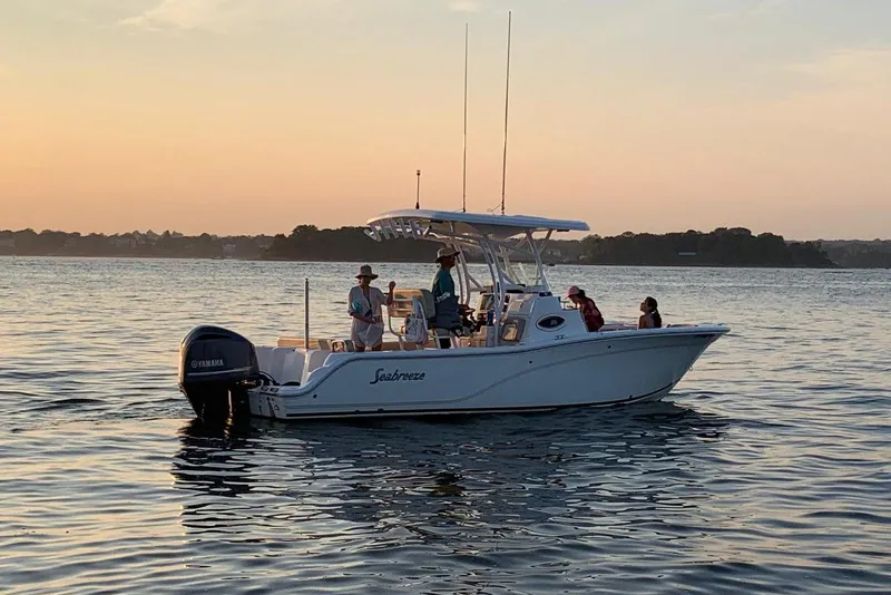 The Image of 2015 Sea Fox 249 Avenger boat on calm water at sunset with passengers. - 0