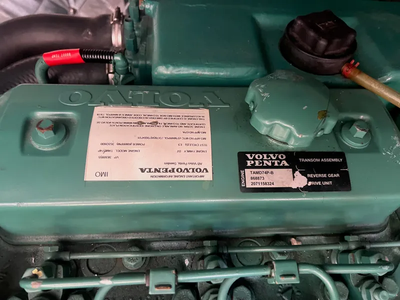 Slide: The Image of Apreamare 40 2003 - 11