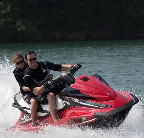 Slide: The Image of Yamaha VX Limited 2016 - 7