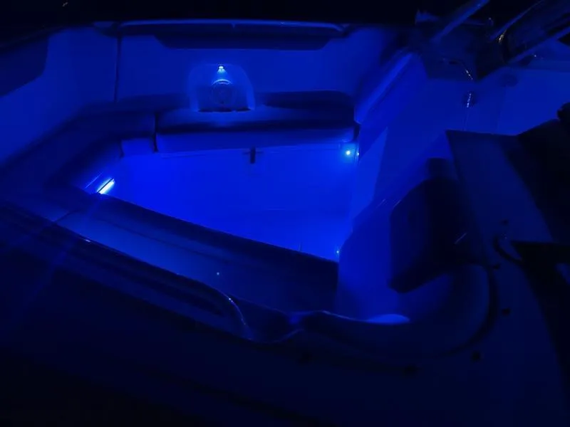 Slide: The Image of Sailfish 325 DC 2016 - 8