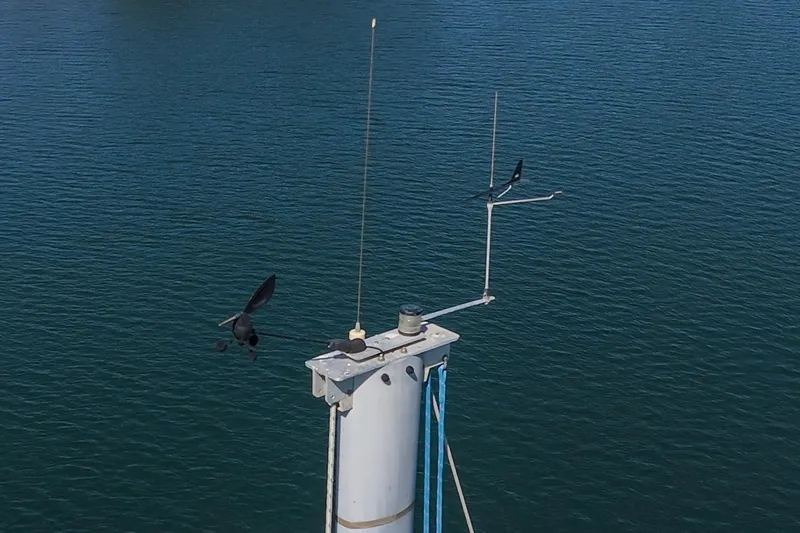 Slide: The Image of Mast of 2004 Lagoon 380 catamaran with birds flying over calm water. - 25