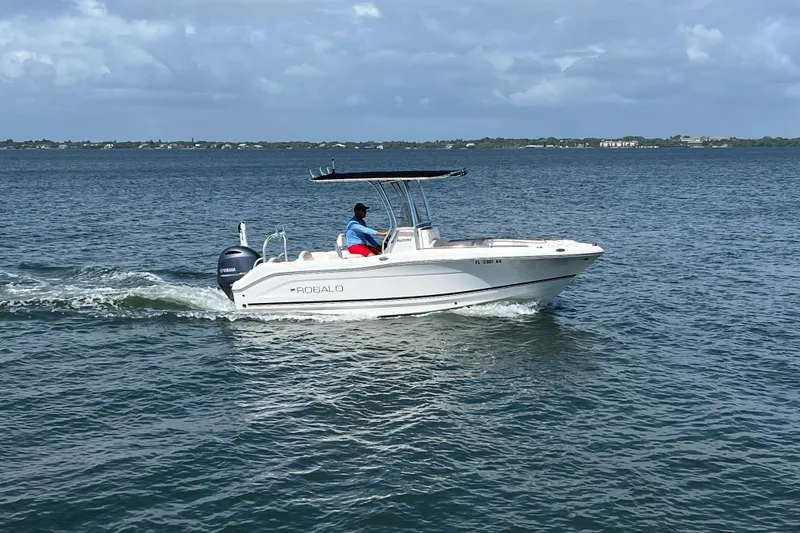 The Image of 2017 Robalo R200 Center Console boat cruising on open water under a cloudy sky. - 0