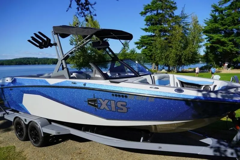 Slide: The Image of Axis A245 2024 - 4