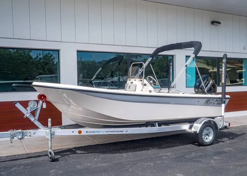 The Image of Carolina 162 JLS 2026 - 1