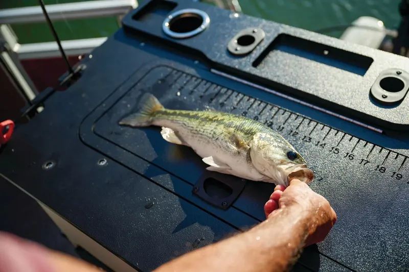 Slide: The Image of Sun Tracker Fishin' Barge 22 DLX 2026 - 7