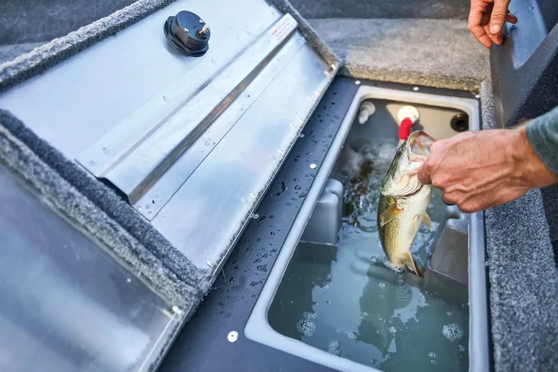 Slide: The Image of Tracker Pro Guide V-16 SC 2026 - 10