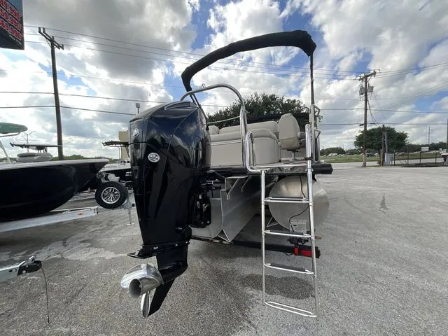 Slide: The Image of Harris 230 2019 - 5