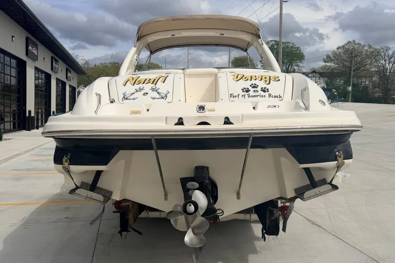 Slide: The Image of 2002 Sea Ray 290 Bowrider docked, featuring custom "Nauti Dawg" graphics. - 2