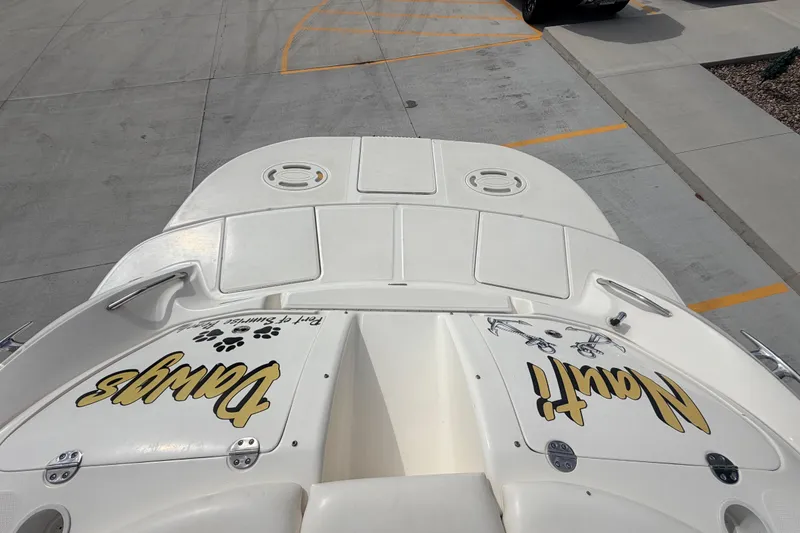 Slide: The Image of 2002 Sea Ray 290 Bowrider boat on concrete surface, featuring custom graphics. - 9