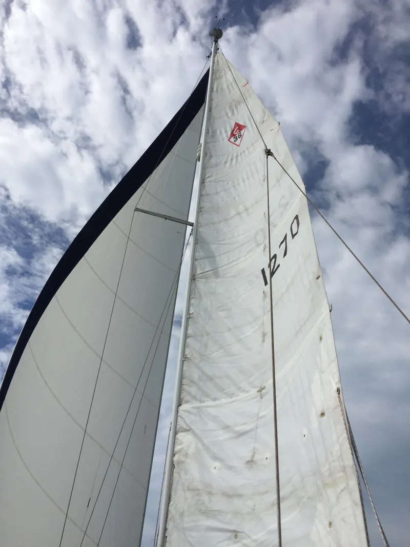 Slide: The Image of Catalina 36 1993 - 4