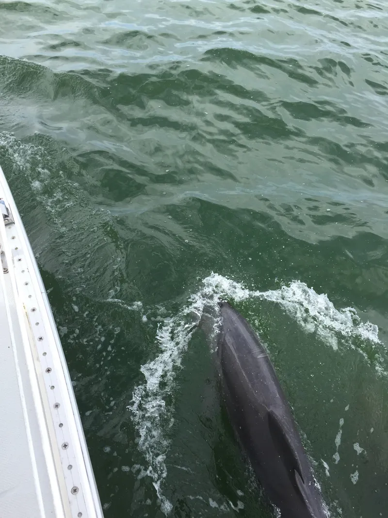 Slide: The Image of Catalina 36 1993 - 5