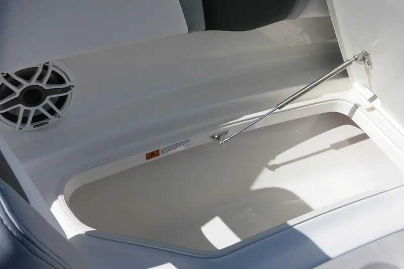 Slide: The Image of 2026 Robalo R250 Center Console storage compartment with speaker and hydraulic support. - 18
