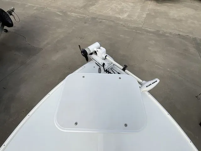 Slide: The Image of NewWater Curlew 2006 - 10