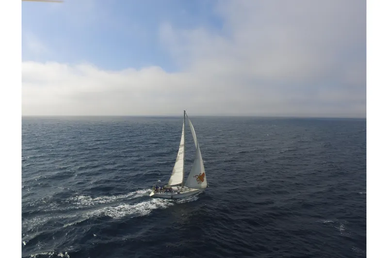 Slide: The Image of Sailboat Islander Peterson 40 (1979) navigating open sea under clear skies. - 5
