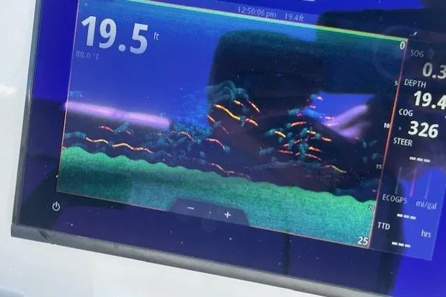 Slide: The Image of Fish finder display on 2022 Yamaha Boats 190 FSH Sport, showing 19.5 ft depth. - 41