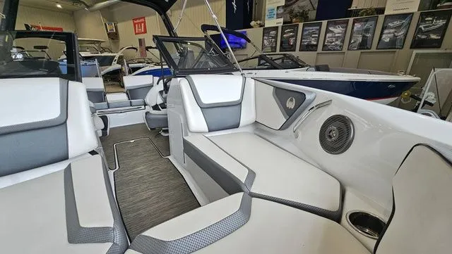 Slide: The Image of Scarab 195 ID 2021 - 17