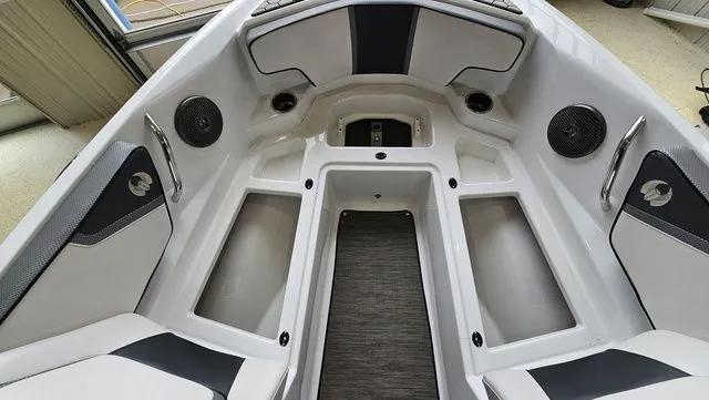 Slide: The Image of Scarab 195 ID 2021 - 20