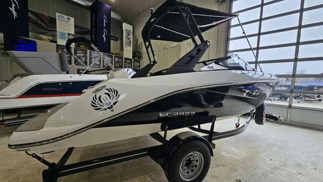 Slide: The Image of Scarab 195 ID 2021 - 3