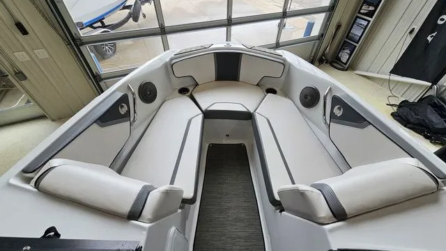 Slide: The Image of Scarab 195 ID 2021 - 15