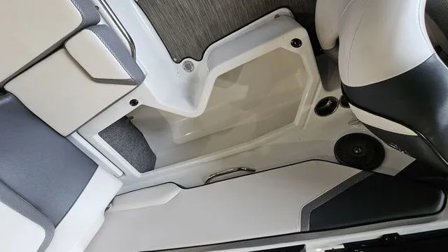 Slide: The Image of Scarab 195 ID 2021 - 21