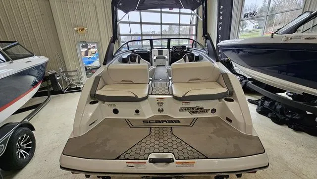 Slide: The Image of Scarab 195 ID 2021 - 4