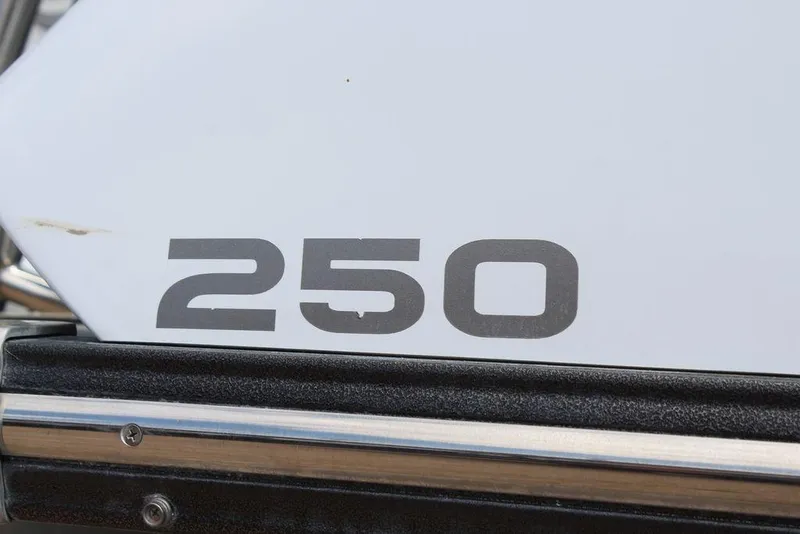 Slide: The Image of Close-up of "250" on 2019 Crest Savannah 250 SLRC boat exterior. - 22