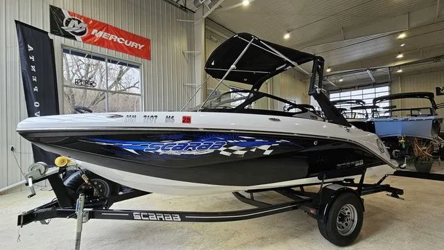 The Image of Scarab 195 ID 2021 - 1