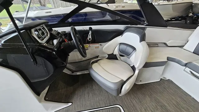 Slide: The Image of Scarab 195 ID 2021 - 10