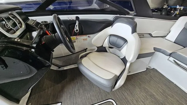 Slide: The Image of Scarab 195 ID 2021 - 11