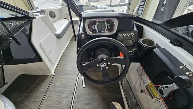 Slide: The Image of Scarab 195 ID 2021 - 13