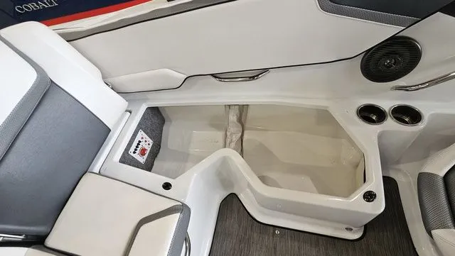 Slide: The Image of Scarab 195 ID 2021 - 22