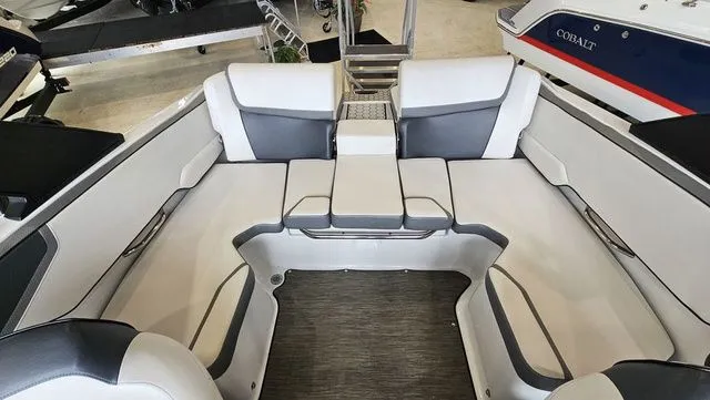 Slide: The Image of Scarab 195 ID 2021 - 8