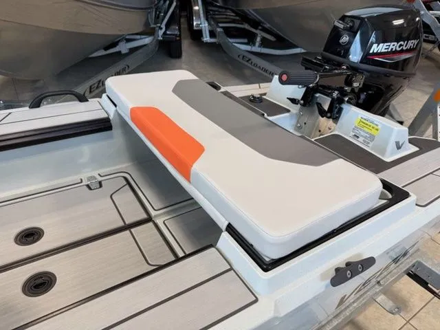 Slide: The Image of Veer Veer V13 2023 - 5