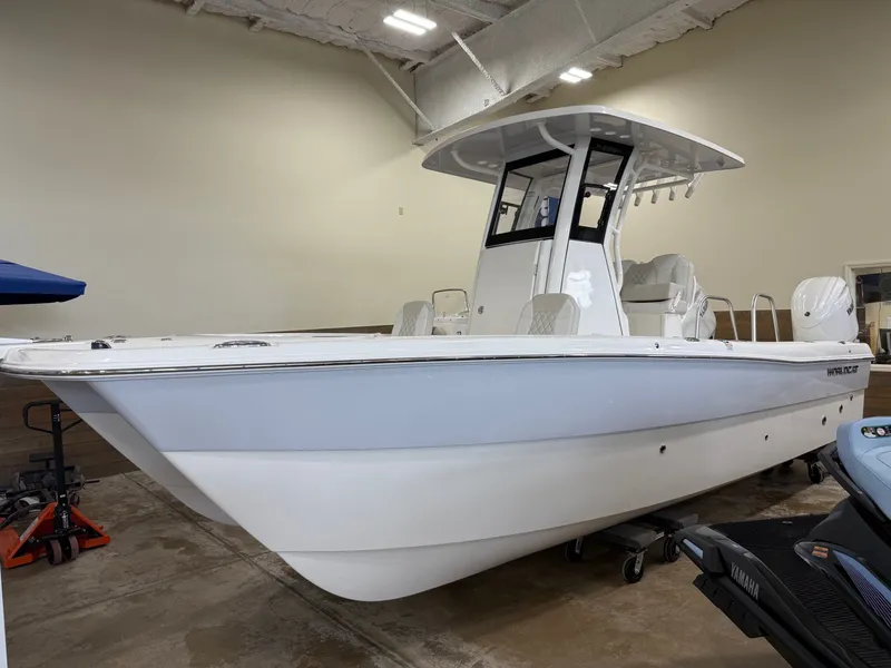 The Image of World Cat 235 CC 2025 - 1