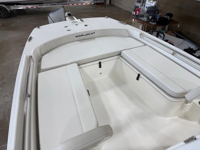 Slide: The Image of World Cat 235 CC 2025 - 10