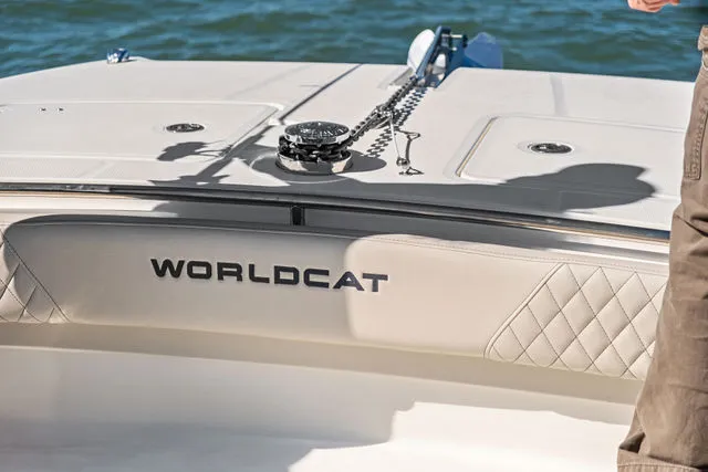 Slide: The Image of World Cat 235 CC 2025 - 22