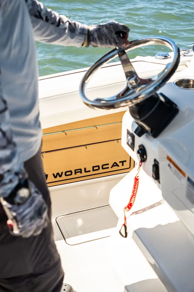 Slide: The Image of World Cat 235 CC 2025 - 25
