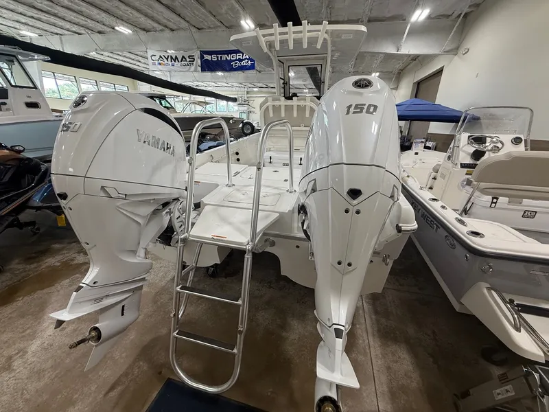 Slide: The Image of World Cat 235 CC 2025 - 3