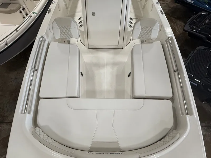 Slide: The Image of World Cat 235 CC 2025 - 4