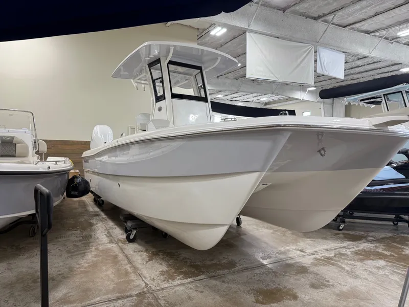 Slide: The Image of World Cat 235 CC 2025 - 9