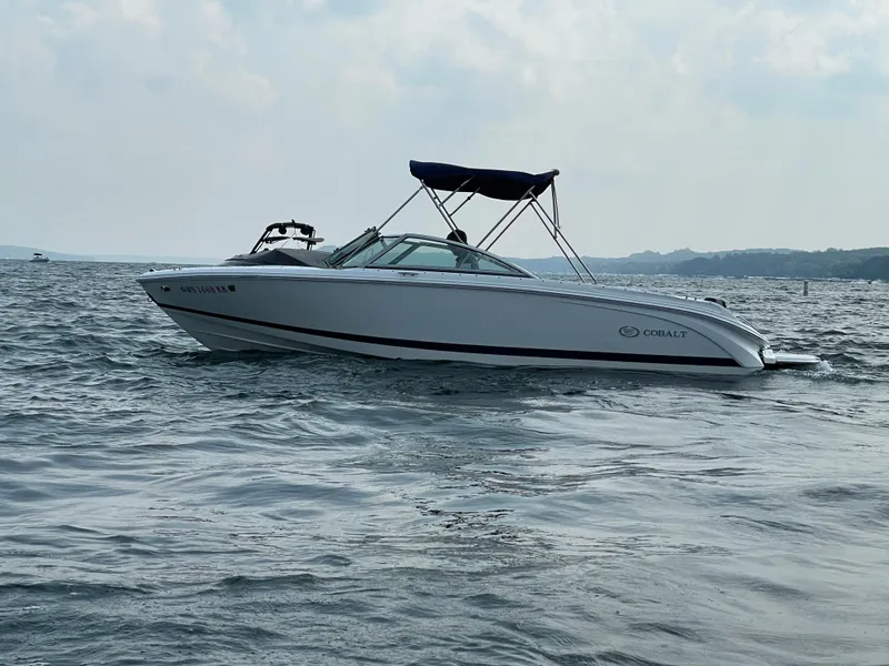 The Image of Cobalt 220S 2024 - 1