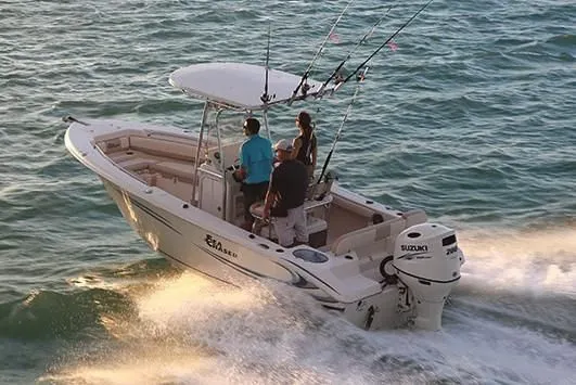 Slide: The Image of Carolina 20 HFC 2026 - 3