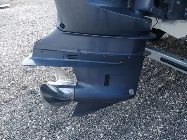 Slide: The Image of Robalo 246 Cayman 2019 - 14