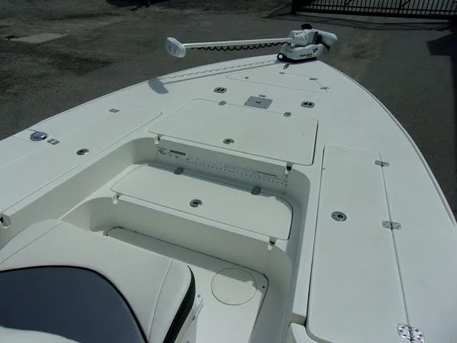 Slide: The Image of Shearwater x22 2020 - 4