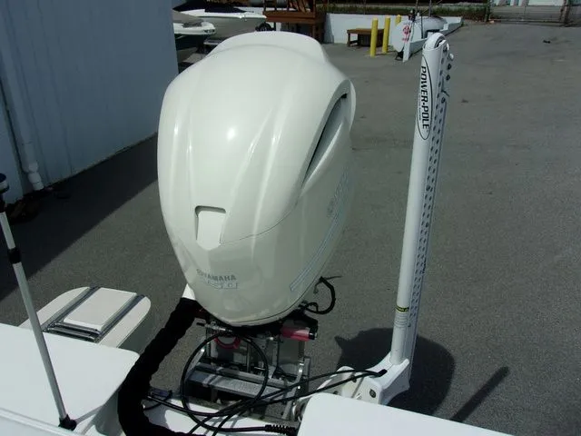 Slide: The Image of Shearwater x22 2020 - 8