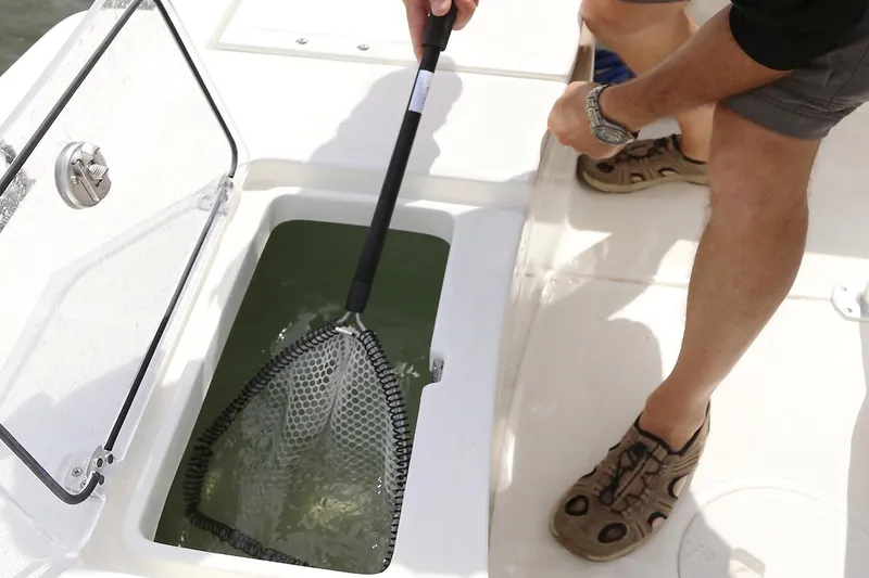 Slide: The Image of Manufacturer Provided Image: Person using net on Sea Born LX21 boat. - 12