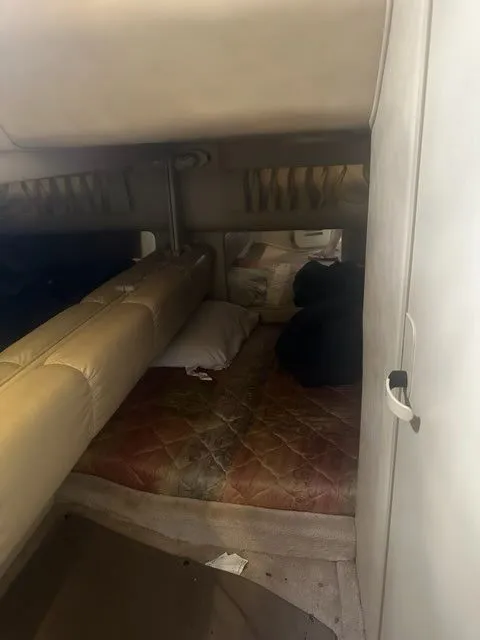 Slide: The Image of Sea Ray Sundancer 310 1998 - 11