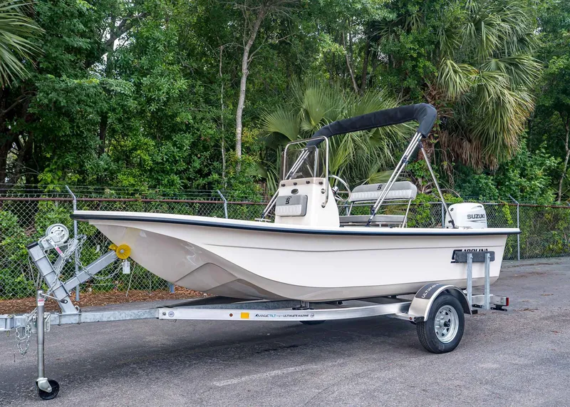 The Image of Carolina E16JVX 2026 - 1