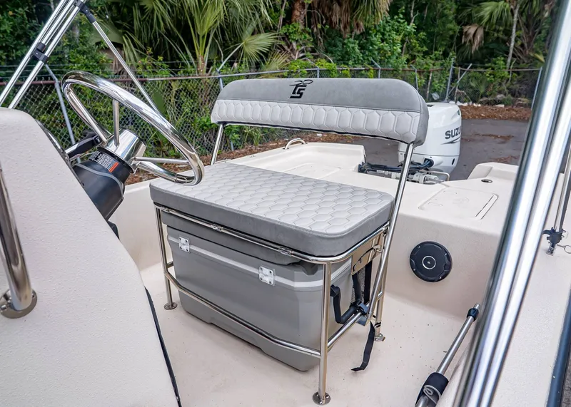 Slide: The Image of Carolina E16JVX 2026 - 15